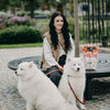 TRUE FRESH Tahılsız Yetişkin Köpekler İçin Sığır Etli Kuru Mama 4 kg
