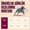 ACTIVE Tahılsız Yetişkin İri Irk Köpekler İçin Somon & Hindi Etli Kuru Mama 12 kg