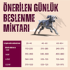 TRUE FRESH Tahılsız Büyük Irk Yavru-Genç (1-24 aylık) Köpekler İçin Ördek Etli Kuru Mama 12 kg