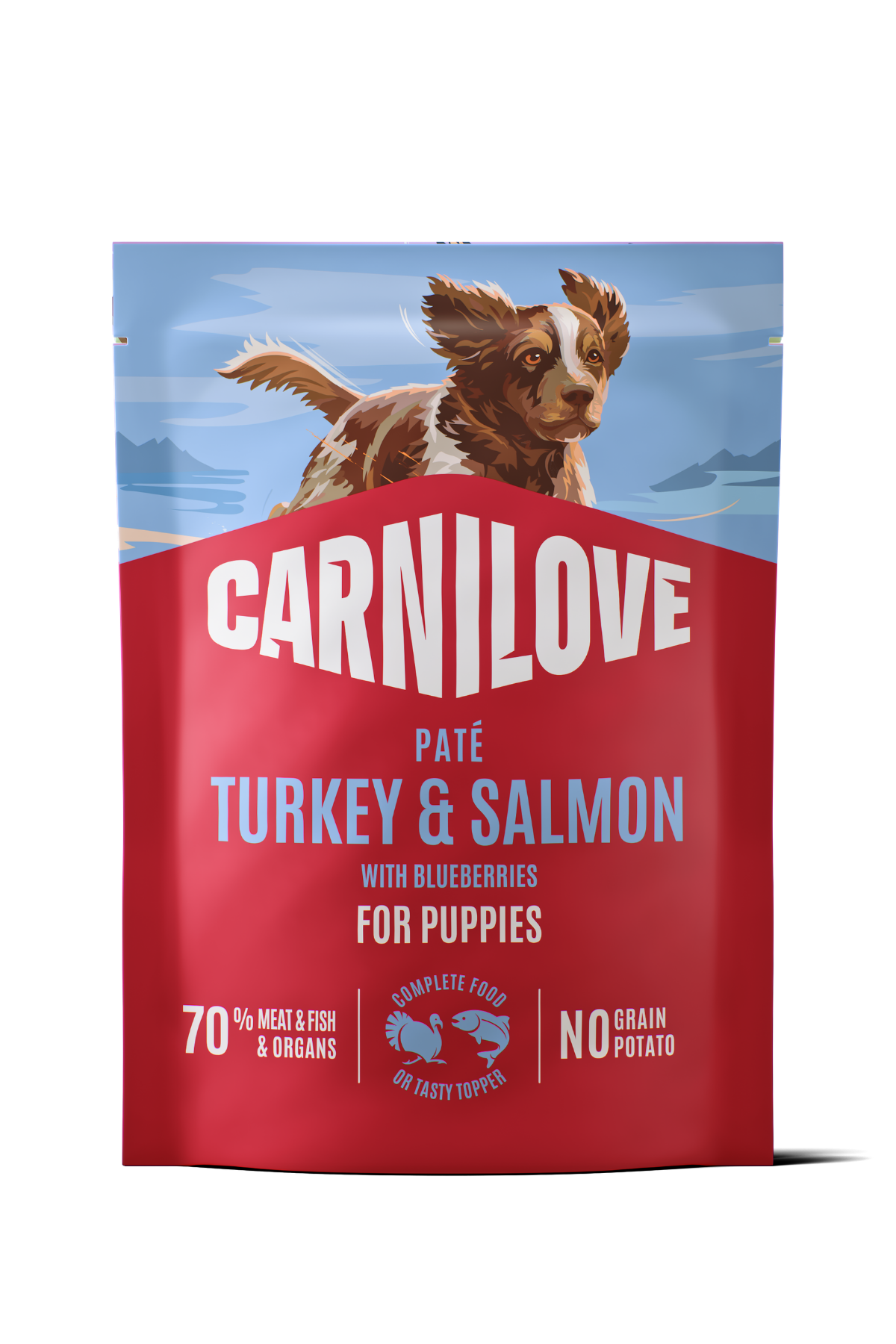 Hindi & Somonlu (Yaban Mersinli) Yavru Köpek Pouch Yaş Mama 300 gr