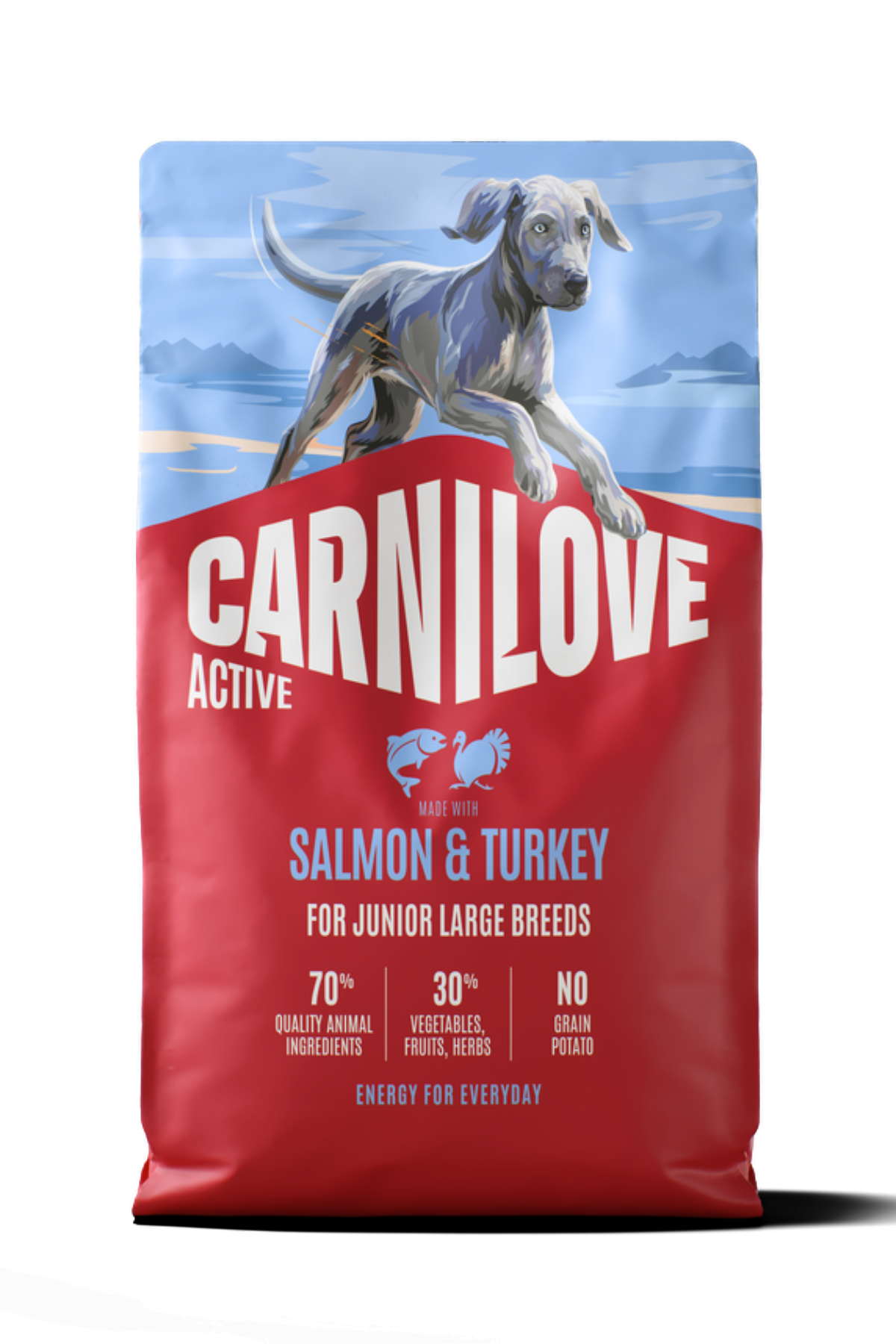 CARNILOVE ACTIVE Tahılsız Yetişkin İri Irk Yavru-Genç Köpekler İçin Somon & Hindi Etli Kuru Mama 12 kg