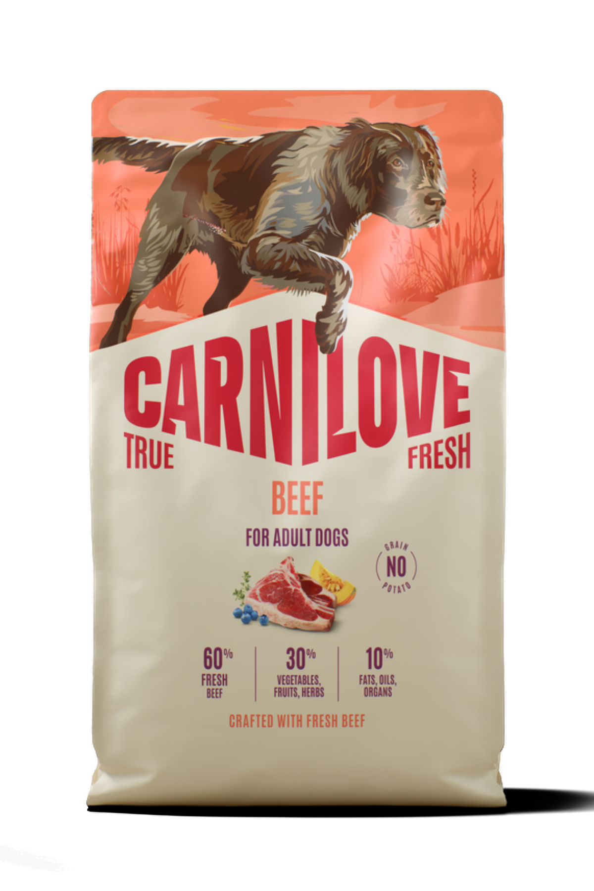 CARNILOVE TRUE FRESH Tahılsız Yetişkin Köpekler İçin Sığır Etli Kuru Mama 1,5 kg